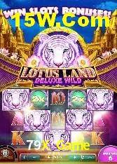 Estatísticas do Jogo 79X Game